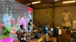 Program TuneCore Unlimited, Ini Keuntungan yang Didapat Para Musisi Maupun Label