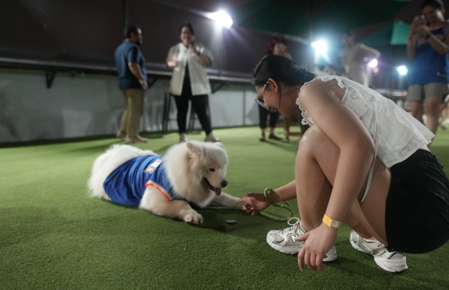 Jakarta International Pet Show 2026 Siap Digelar di PIK 2, Hadirkan Edukasi Satwa hingga Kompetisi Hewan Peliharaan